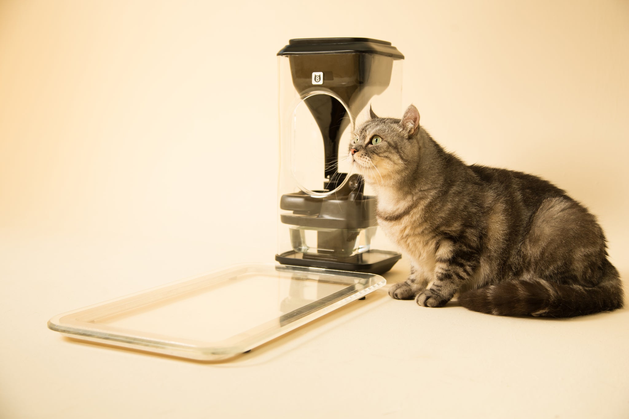 Bistro sales cat feeder